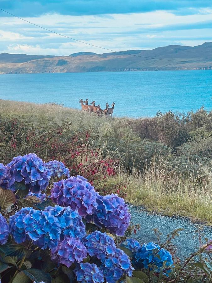 The Rowanberry Suite At Rowan Cottage Elgol Exteriör bild